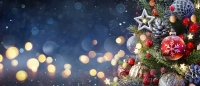 2024 WGA/SPE Christmas Party